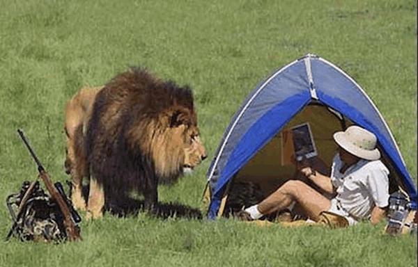 威严公狮子其实不靠谱：“恋足癖”、爱足疗，还关公崇拜？