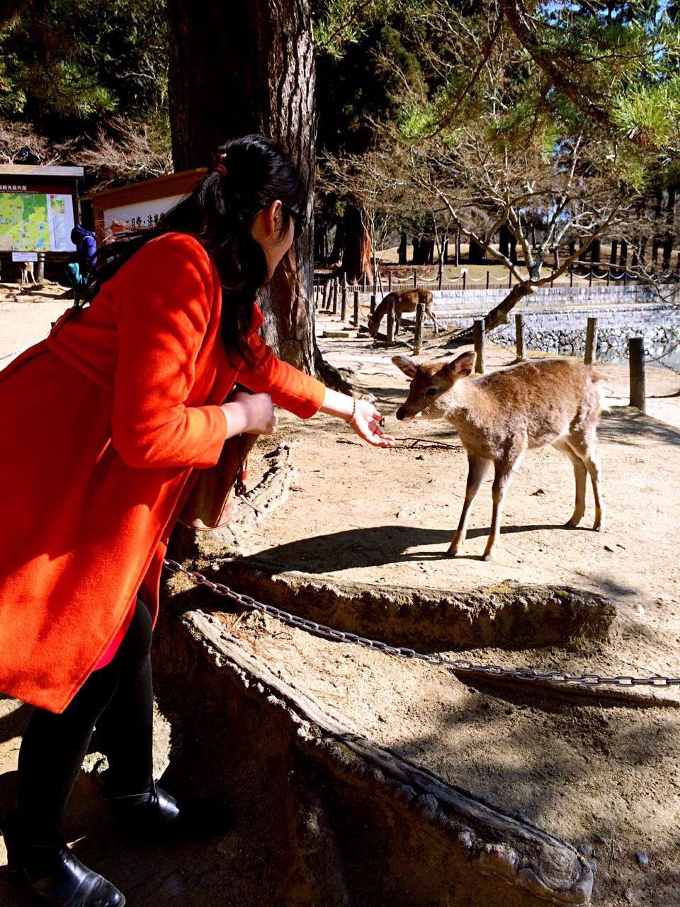 日本旅游马桶,日本旅游购物攻略一览表
