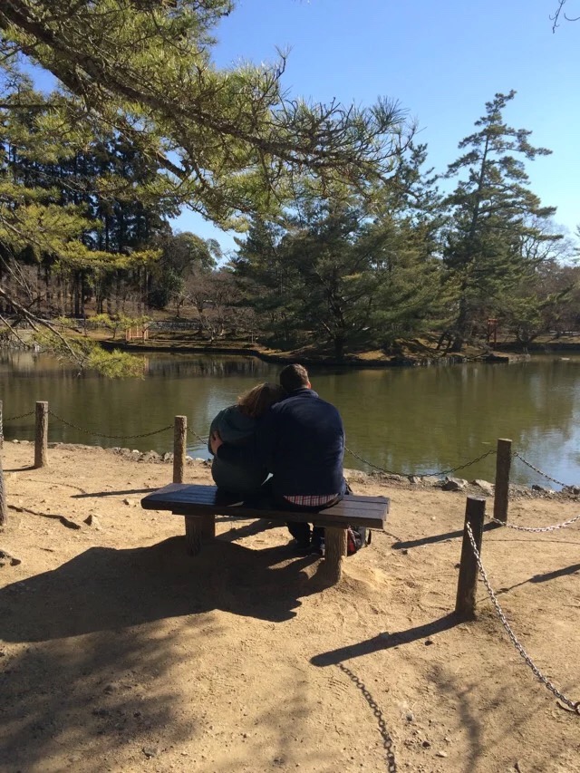 日本旅游马桶,日本旅游购物攻略一览表