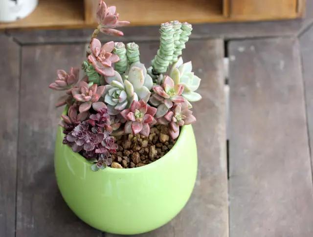 从东莞出发,不到两小时,就可以感受到靓爆灯的童话世界！