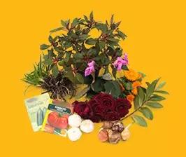 入境新西兰检查手机和电脑吗,入境新西兰的申报表