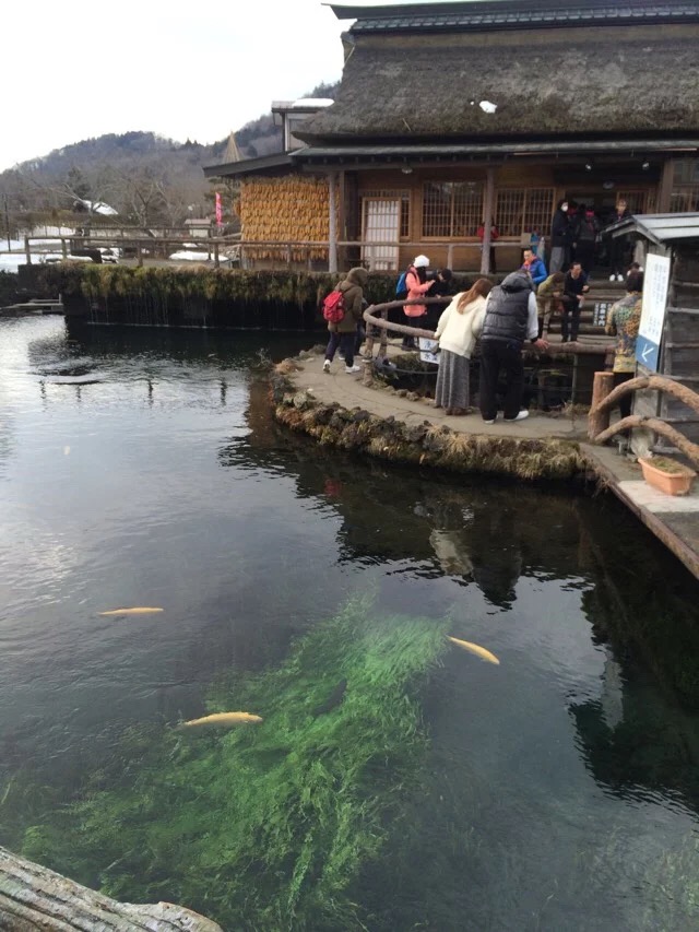 日本旅游马桶,日本旅游购物攻略一览表