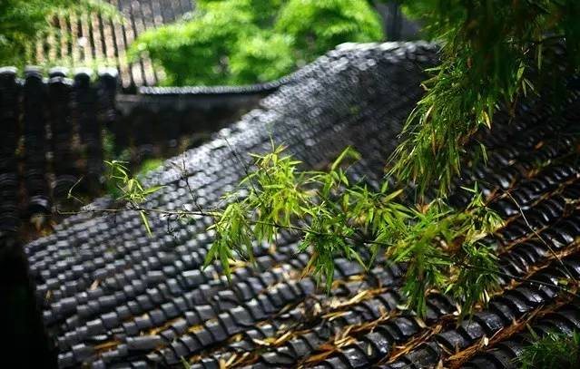 中国每个季节的旅游攻略 (中国一年四季的旅游攻略)