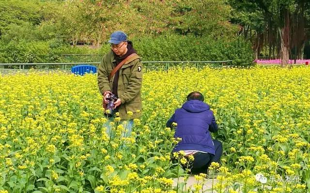 您好，2017年｜阳光灿烂，花果飘香，迎新年这些地方你不得不去！