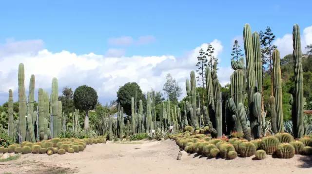 中国每个季节的旅游攻略 (中国一年四季的旅游攻略)