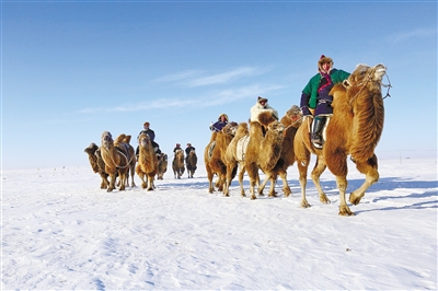 金字招牌寓意,金字招牌人气新店