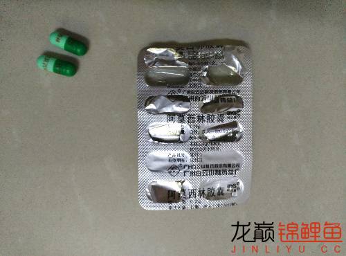 新入缸锦鲤趴缸对策,锦鲤聚在一起趴缸底