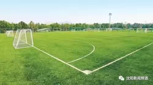 今日沈阳的消息,沈阳今天动态