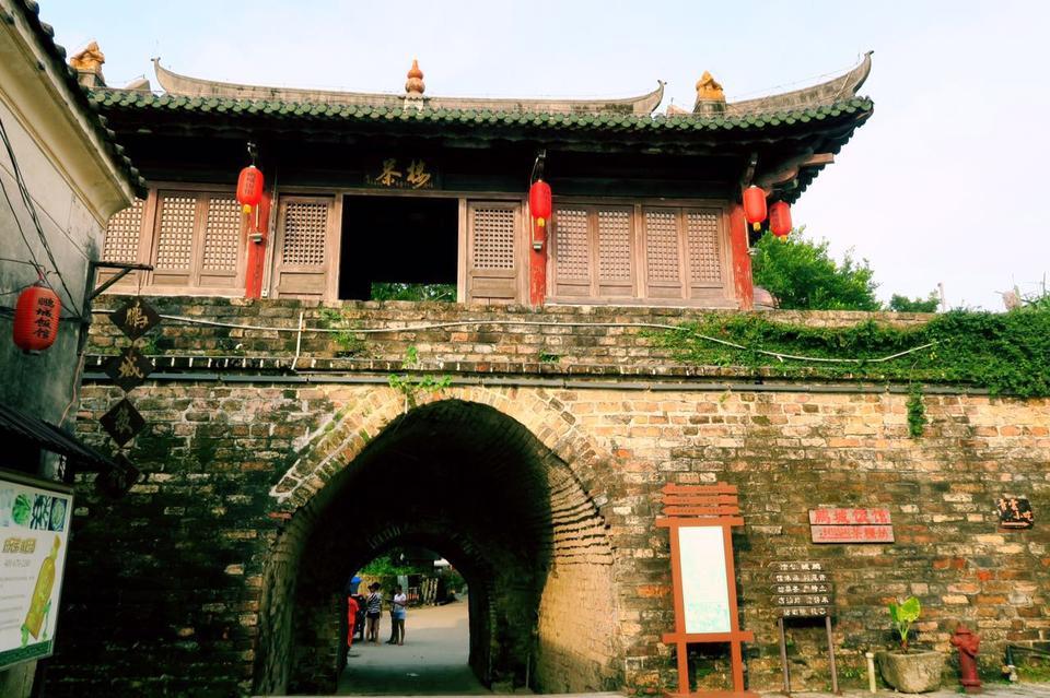 深圳哪里有大片的花海可以欣赏,深圳的花海有多美