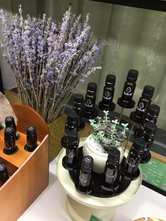 庄缇|“健康春节”系列——胃胀气怎么办？