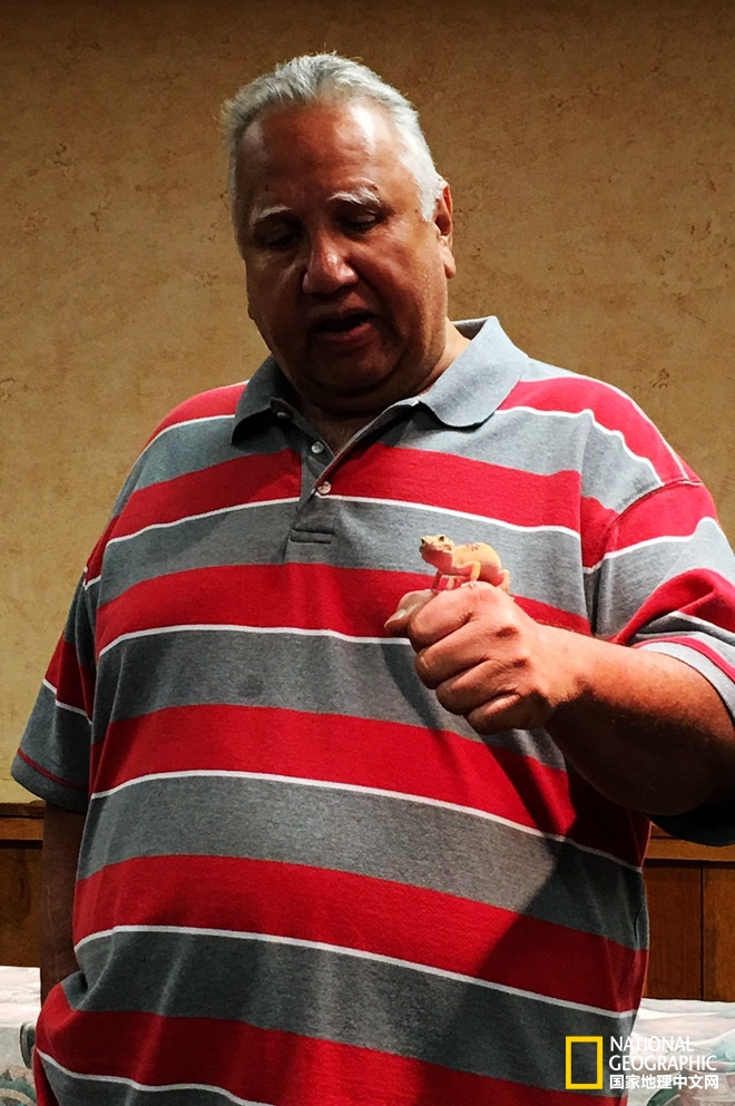 图森仙人掌,图森地理位置