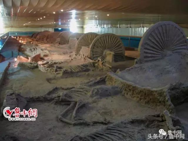 淄水齐风你见过淄江千人垂钓的场面吗？