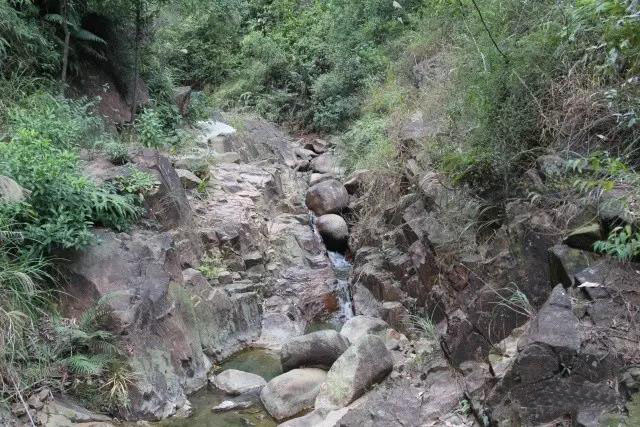 大尖山露营公园图,五桂山山旮旯露营基地