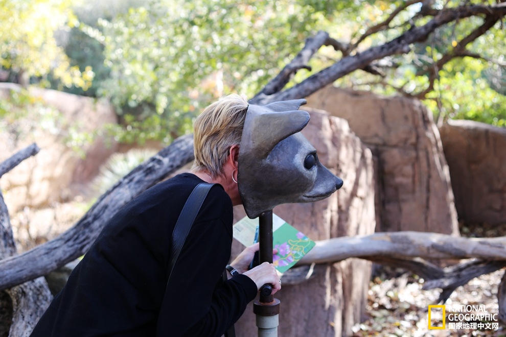图森仙人掌,图森地理位置
