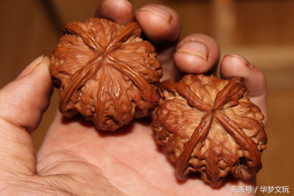郑州磨盘狮子头核桃,核桃狮子头和磨盘哪个好