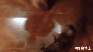 橄榄油味道有一股呛人的味道,橄榄油有股怪味很难吃