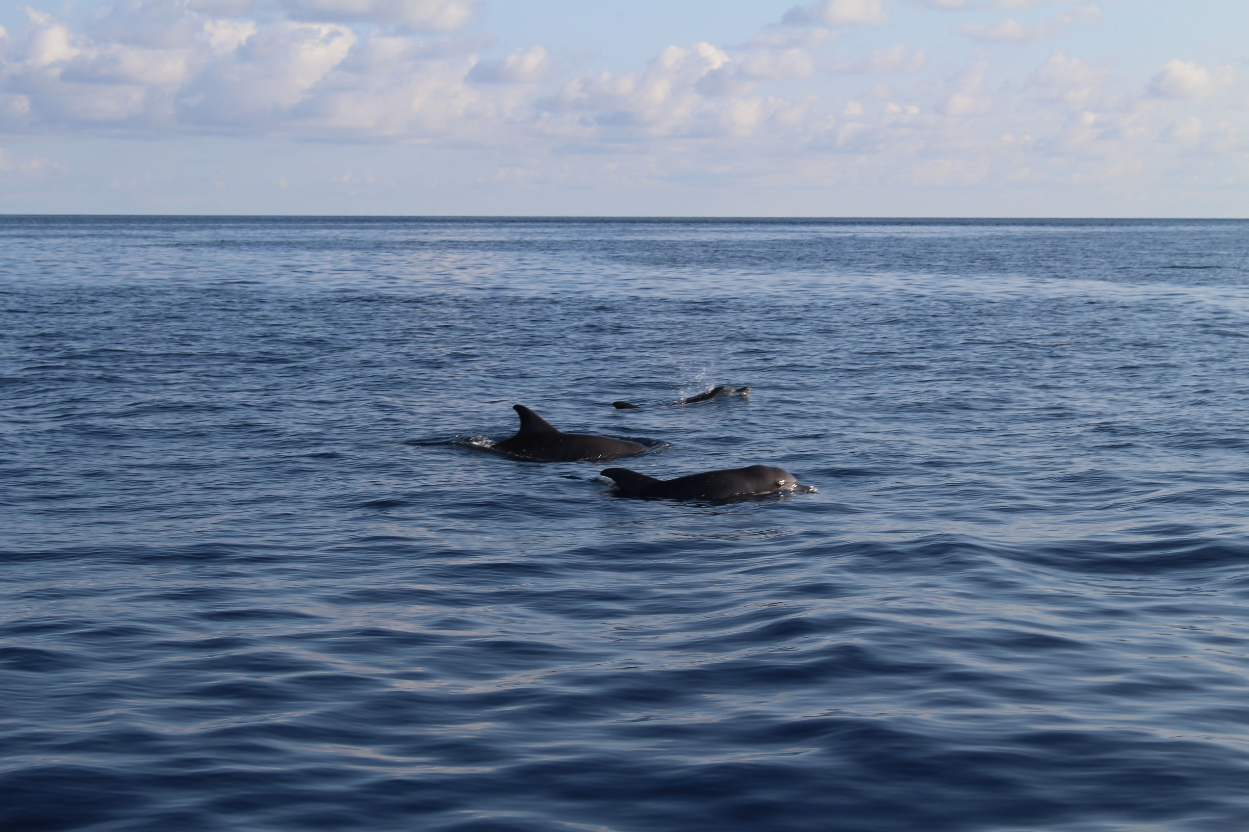 马尔代夫最美景色,最美马尔代夫风景