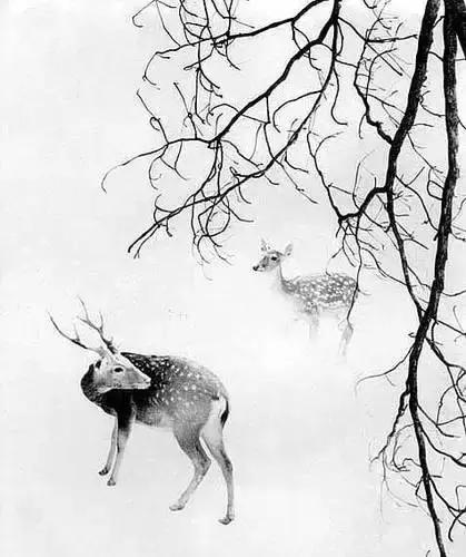 这才是真正的中国风,这才是真正的中国风古装