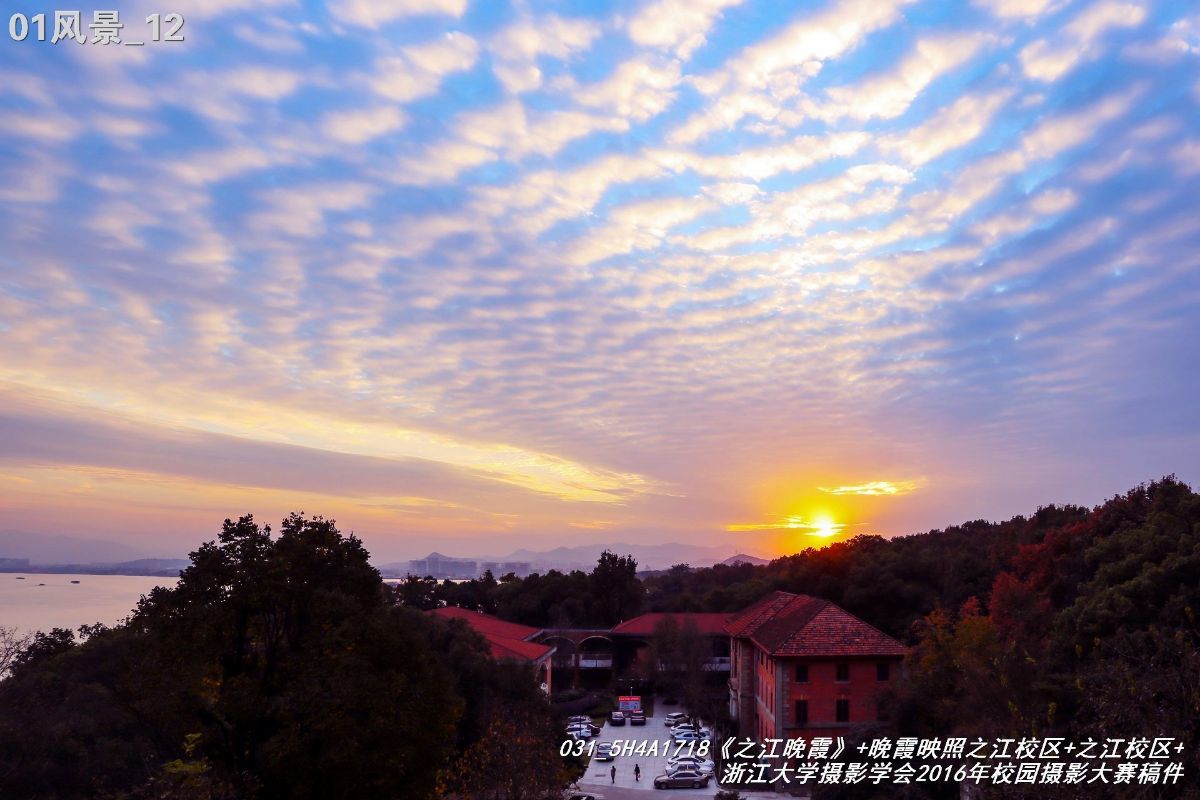 浙江大学是中国最水的大学,一分钟带你了解浙江大学