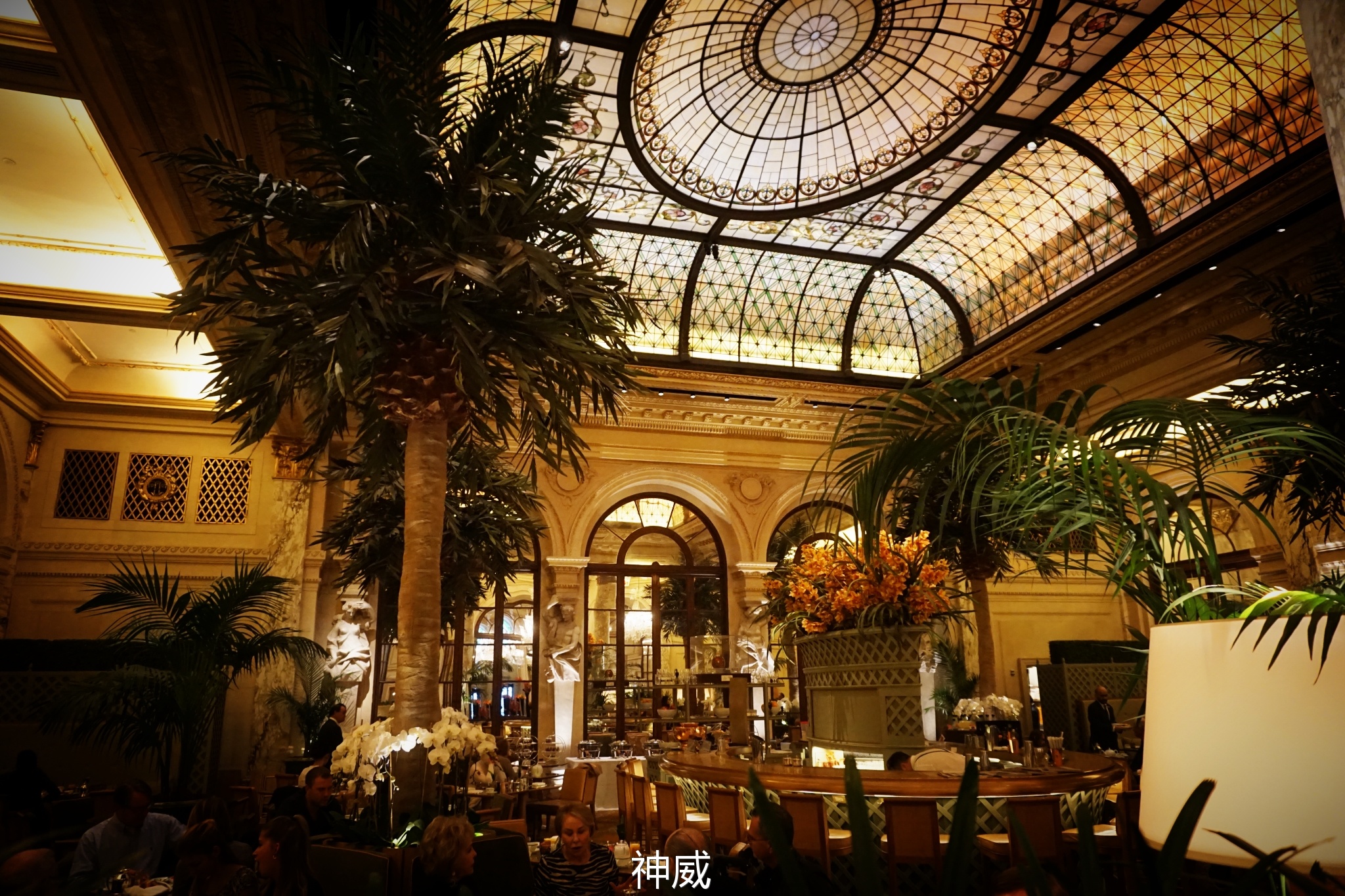 神会玩|XOXO，绯闻纽约的168小时享乐进行时