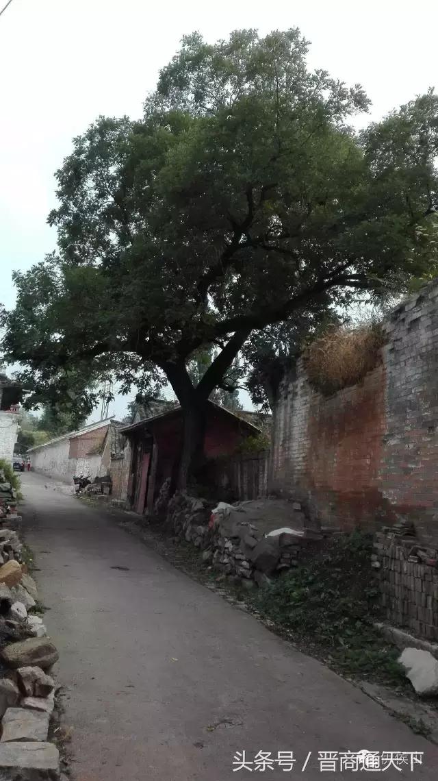 钟灵秀小说,钟灵秀视频