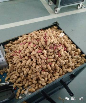 老鼠的花生VS我们的年夜饭