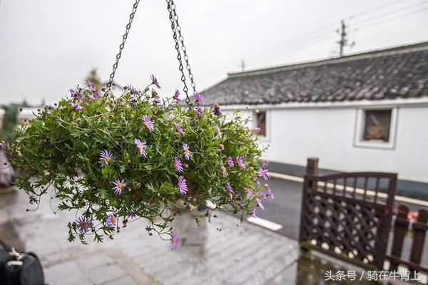 乾隆六下江南去的是哪些地方,徐志摩家乡旅游攻略