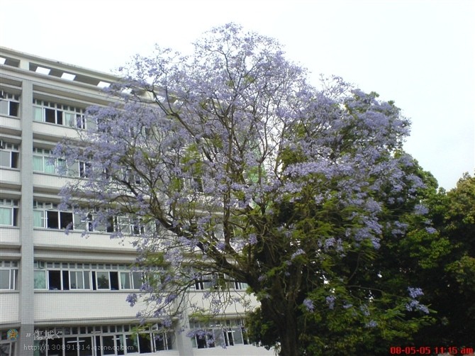 我的高中三年生活500字,我的高中三年的感悟