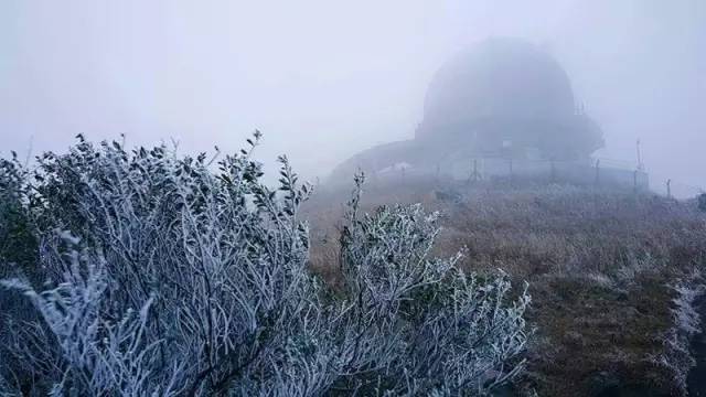 要是寒潮打起来会怎样,如果寒潮来了怎么办