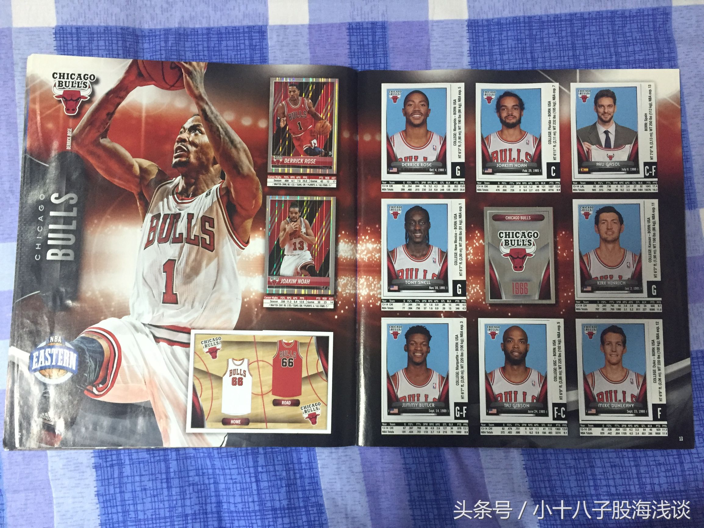 帕尼尼nba贴纸,nba帕尼尼贴纸卡