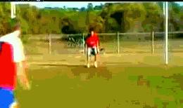 三秒钟让你笑的搞笑图片,让人笑三天三夜的搞笑片