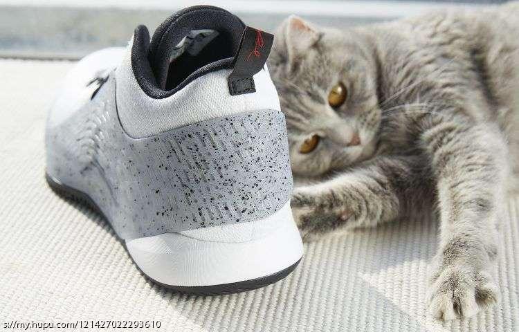 jordancp3配色,jordancp3.x评测