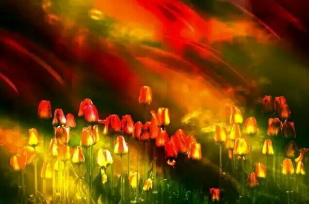 给摄影爱好者的十二条摄影经验,看完这组摄影作品你还淡定吗