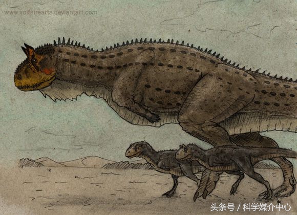 食草恐龙有什么种类,中国棘龙科恐龙种类