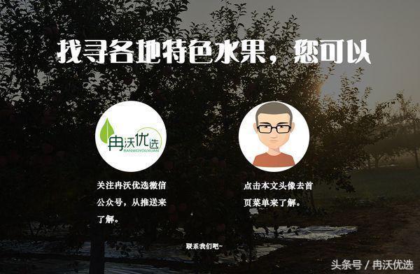 乐都沙果树苗联系方式,乐都的沙果比鸡蛋大