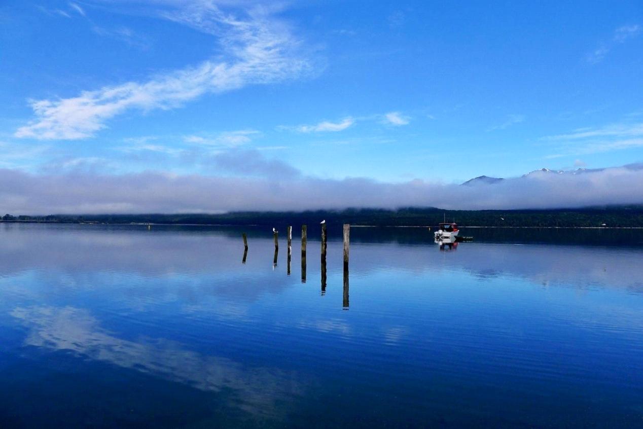 新西兰特色动物有哪些,新西兰奇异动物有哪些