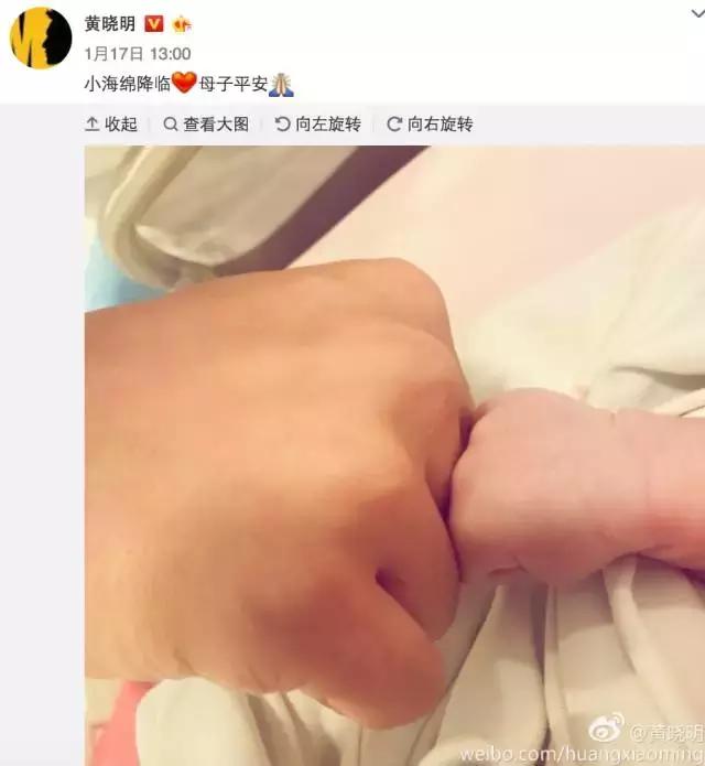 小海绵小星星,小星星小海豚林心如