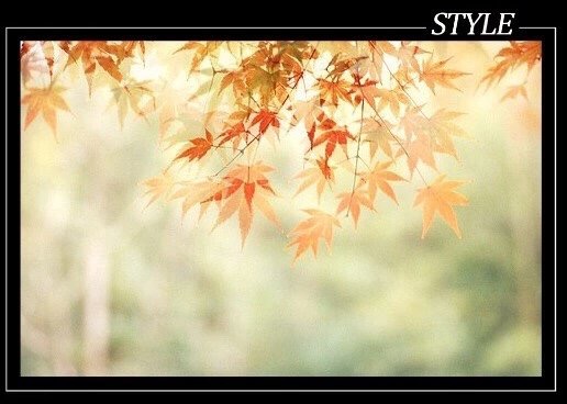 朋友越走越远感情越来越淡,真正的朋友越走越少