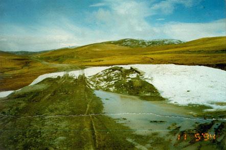 冻土层长成什么样,冰下面的地下土长什么样