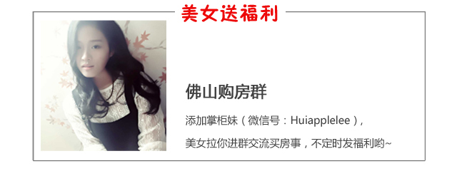 佛山市南海区狮山小塘中恒地产,狮山小塘商业用地规划