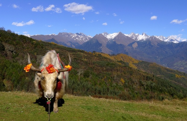 川西美丽地方,川西最迷人的地方