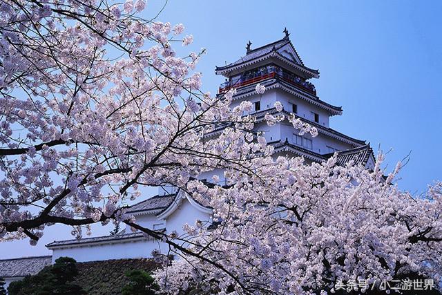 日上免税店还能退税吗,去日本购物退税是怎么回事
