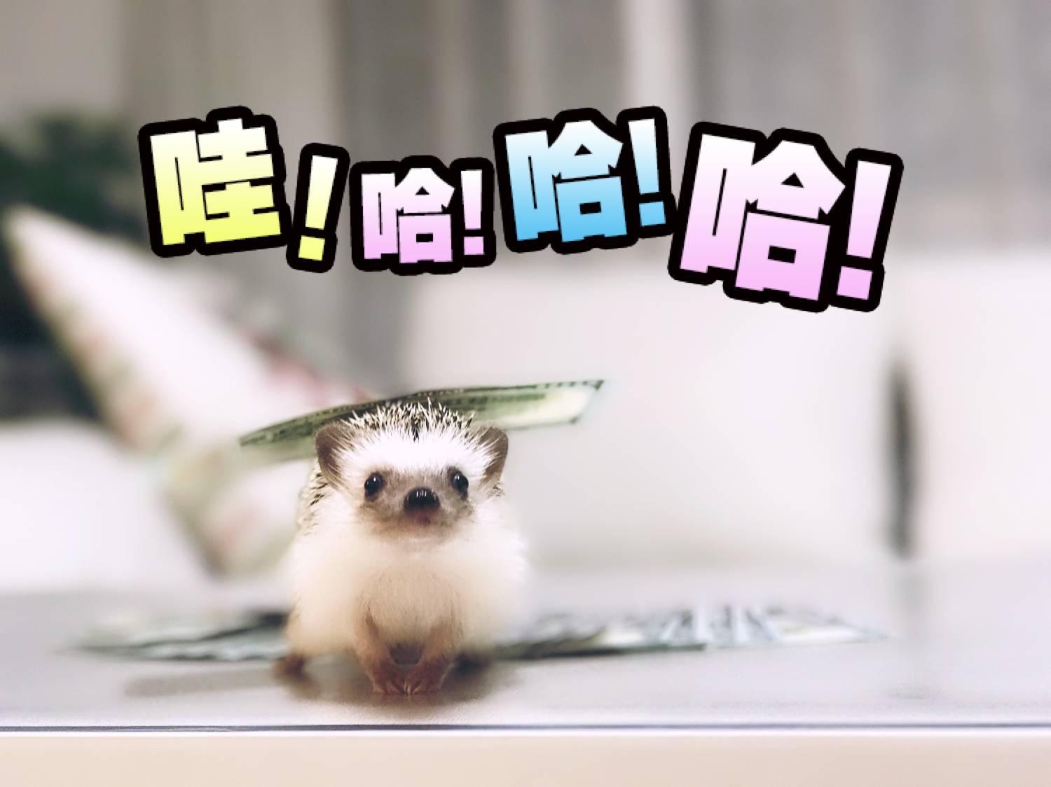 没钱买票回家过年,过年回家机票提前多久买最划算