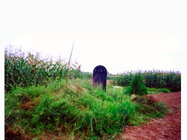 早上起床左脸疼，奶奶说是鬼掐的，然后她拔了人家坟头上的草