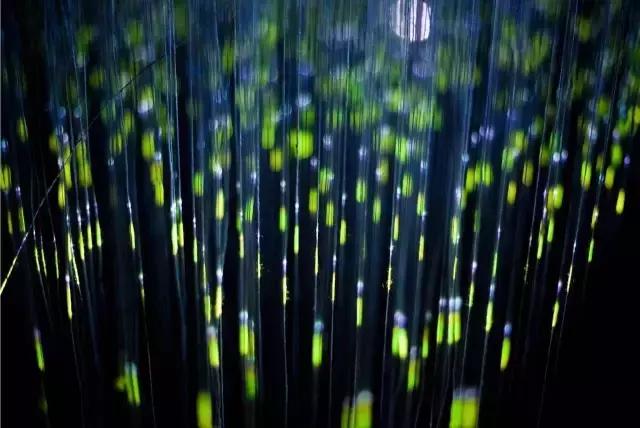 春节不打烊的活动在哪里,上海魔都艺术