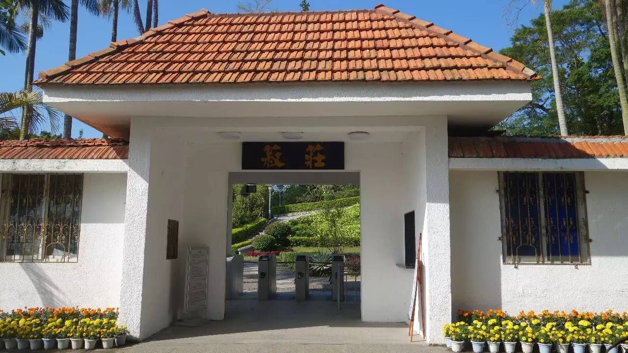 鼓浪屿真的值得去吗,鼓浪屿还敢去玩吗