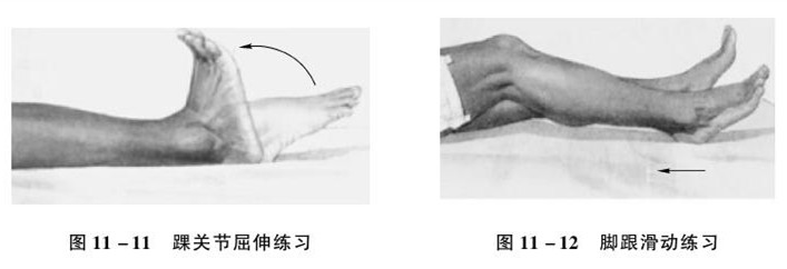 老年运动系统疾病的照护：常见部位骨折的照护要点（二）