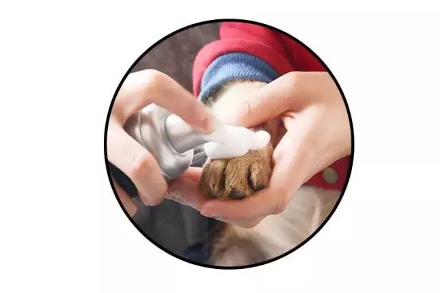 免洗泡沫十大排行榜,免洗泡沫洗手液测评