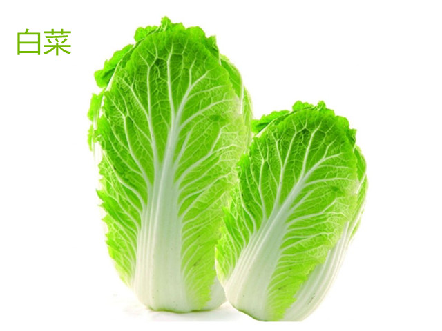 过年解油腻的菜,快过年了吃点什么好