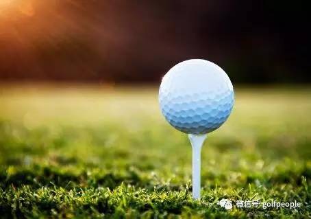 保罗传奇,保罗的传奇电影